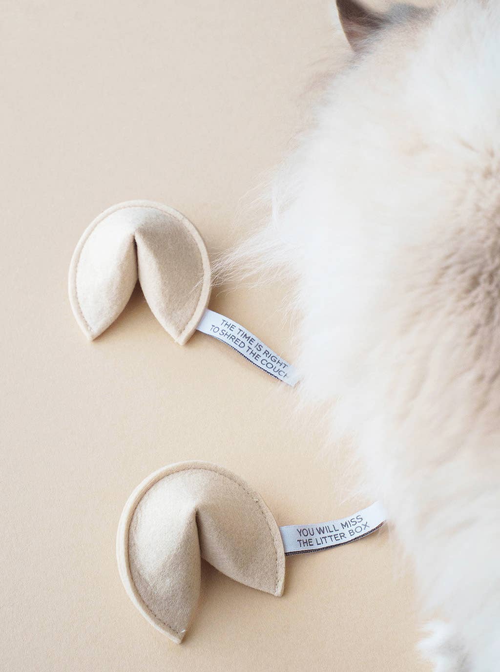KITTY FORTUNE COOKIE (Options Available): Blame It on the Dog