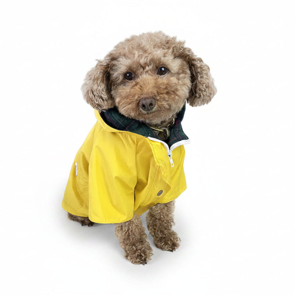 RAIN JACKET - Sunshine Yellow