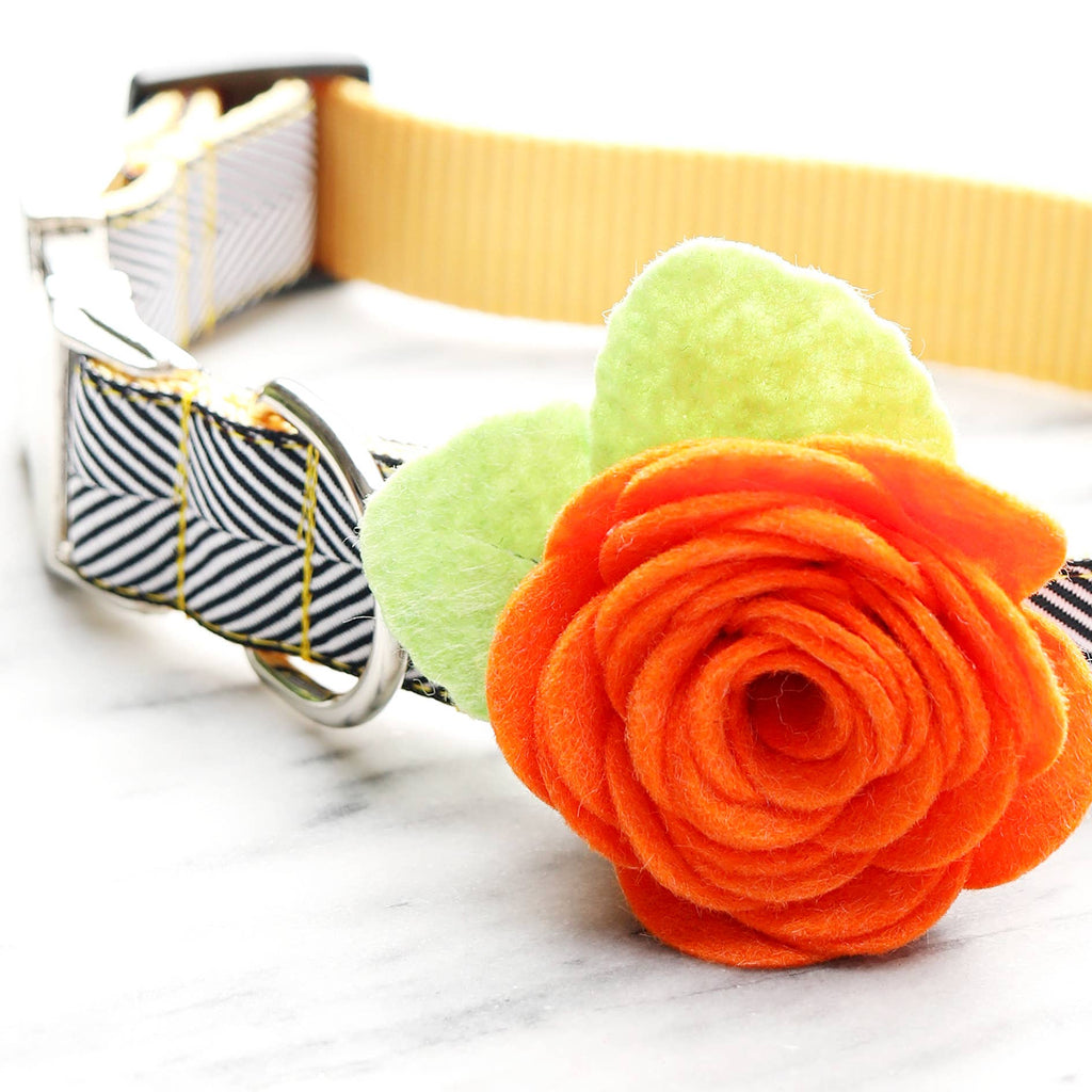 Dog Collar Rose Flower