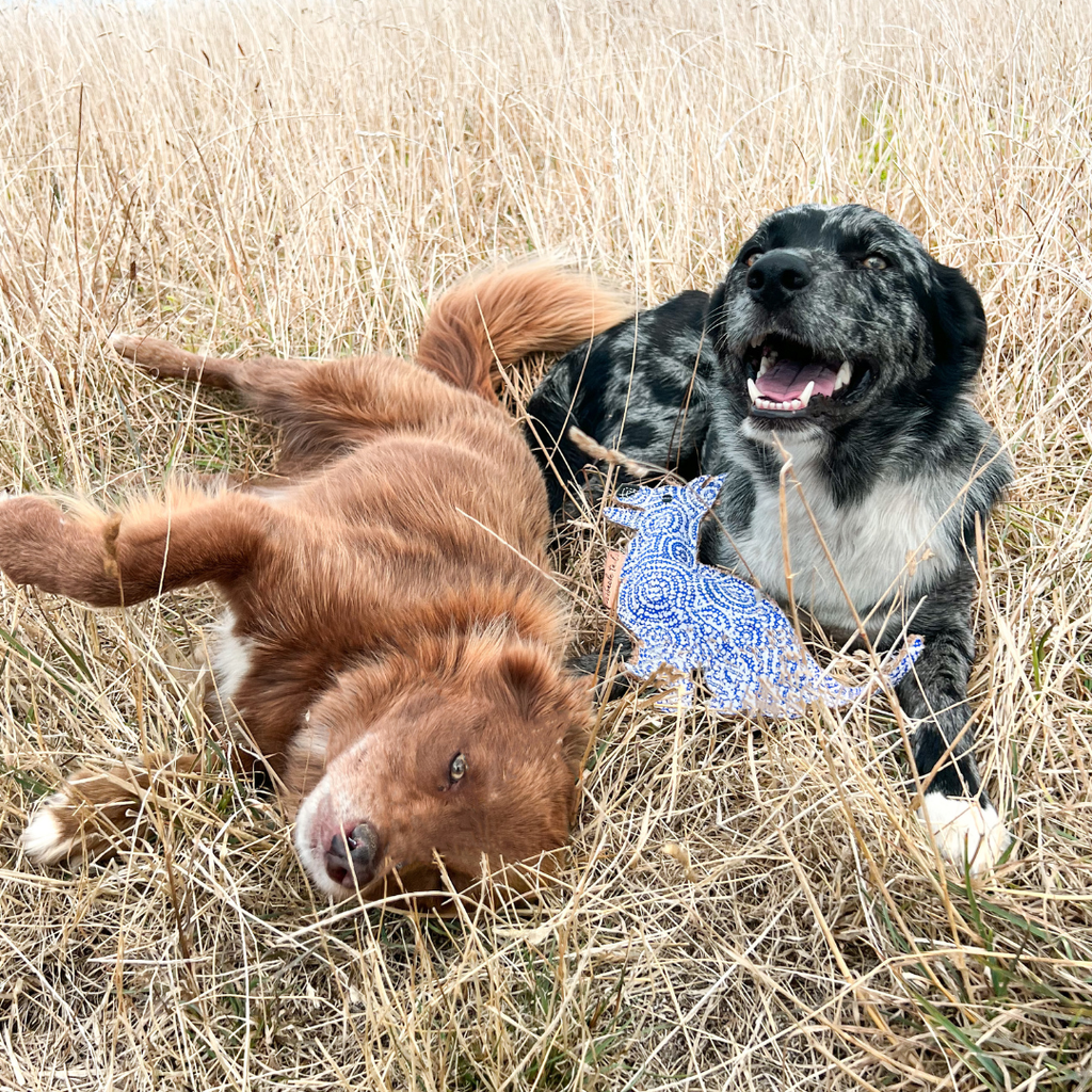 STINKY the Desert Dog Chew Toy