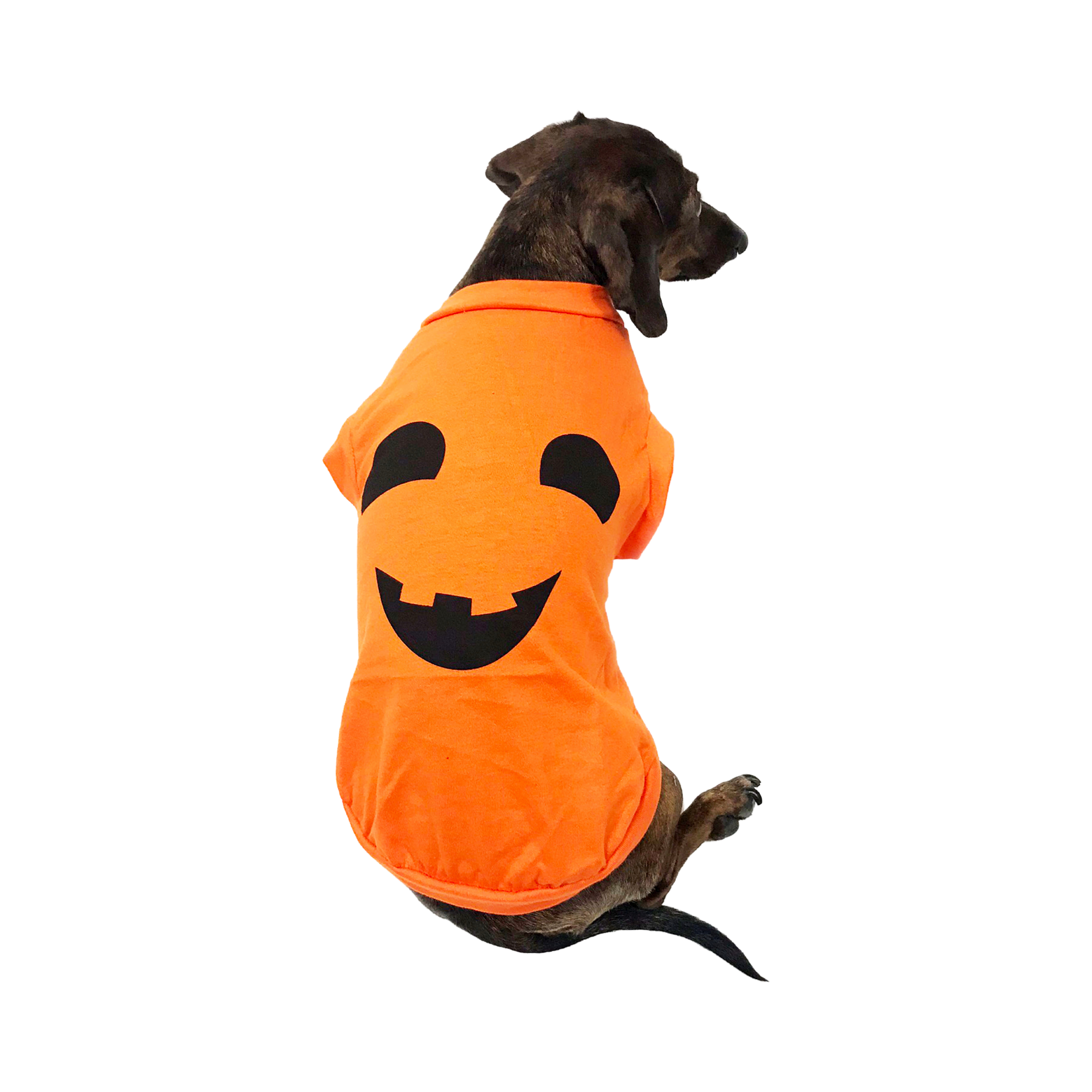 Midlee Pumpkin Face Dog Shirt Costume: Large