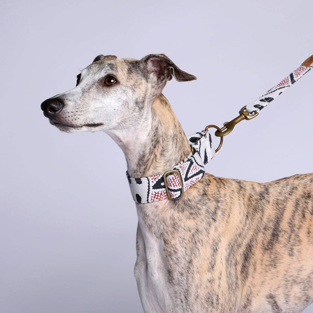 MARTINGALE Collar - Vaughan Springs