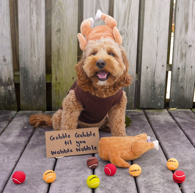 Midlee Roasted Thanksgiving Turkey Plush Dog Toy: Small