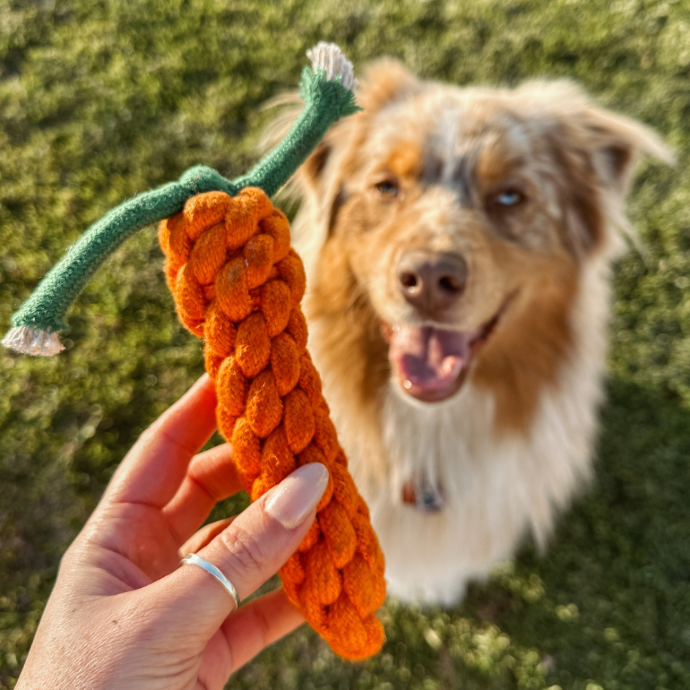 CARROT Rope Toy