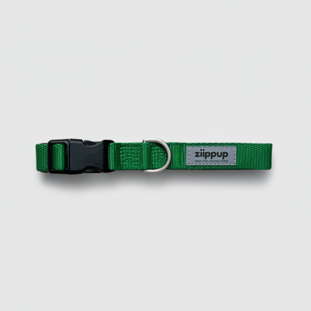 GREEN DOG Recycled Collar