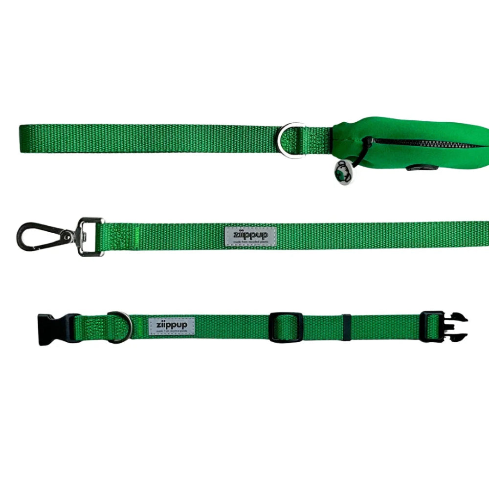 GREEN DOG Recycled Collar