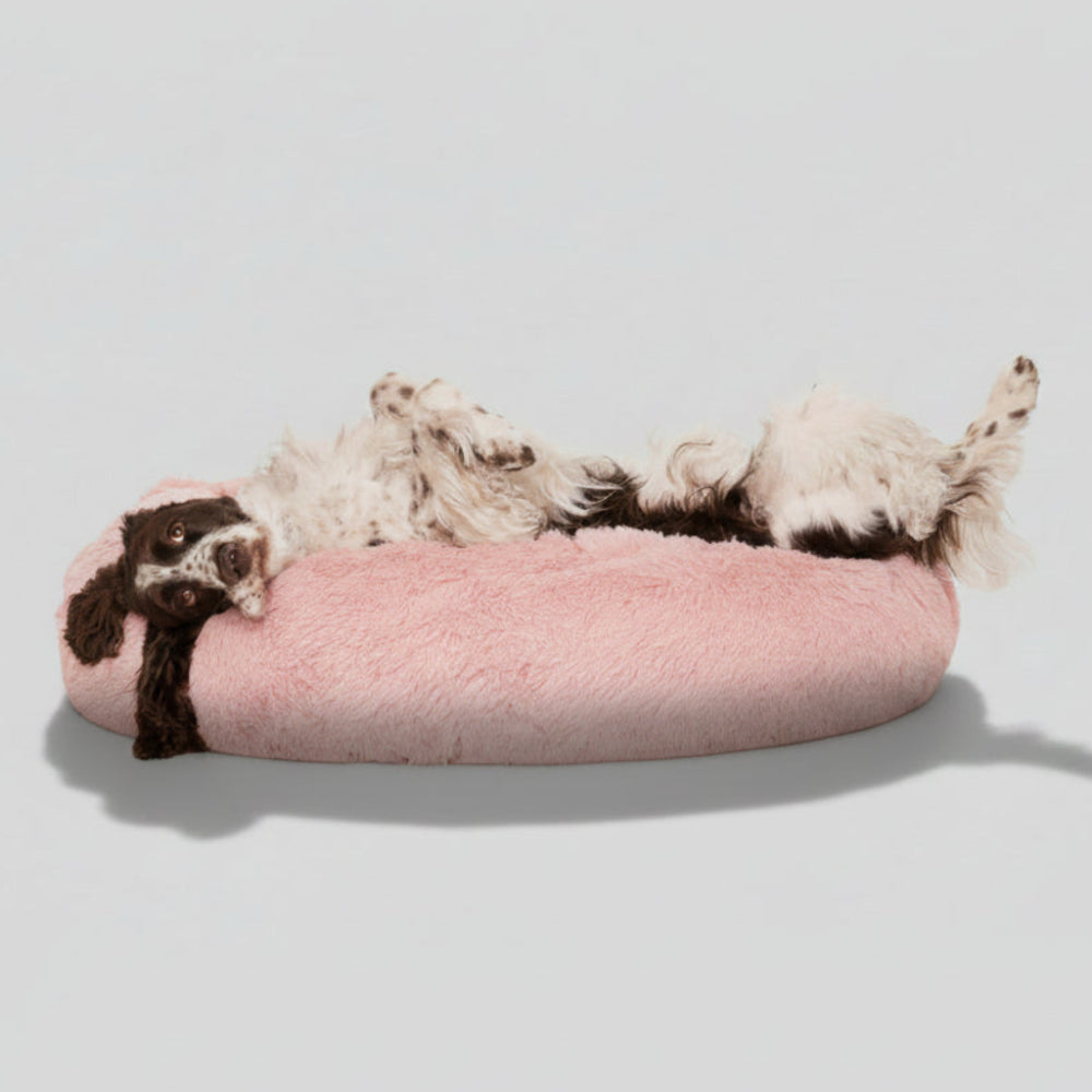 LOVECLOUD Bed