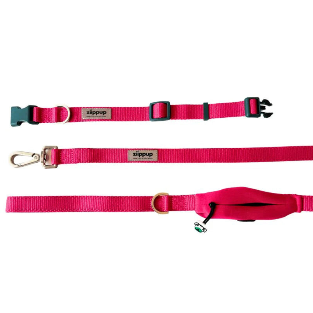 PINK DOG Recycled Collar