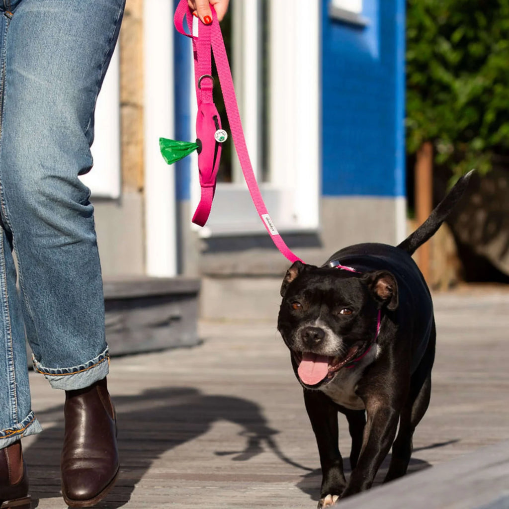 PINK DOG Recycled Collar