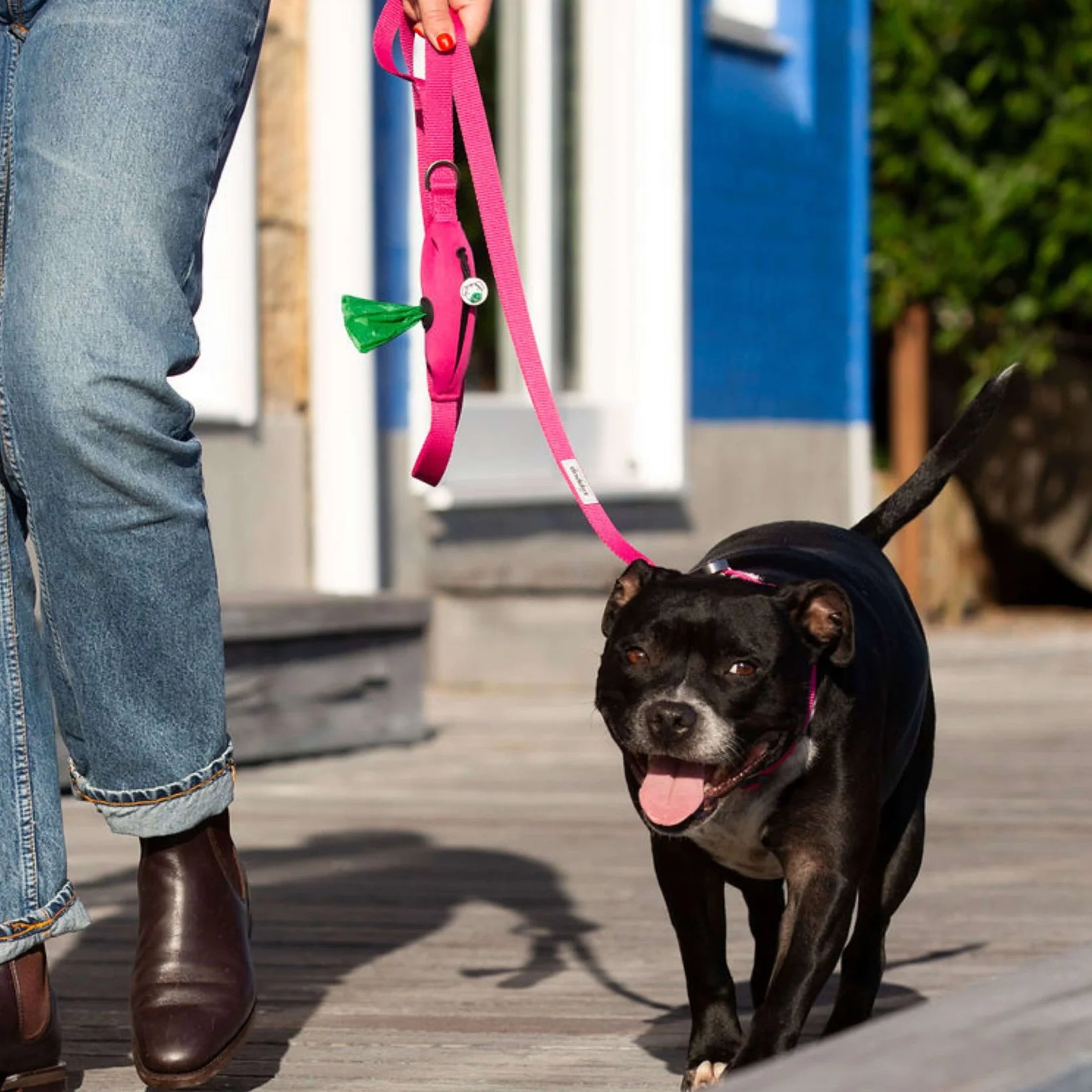 PINK DOG Recycled Collar