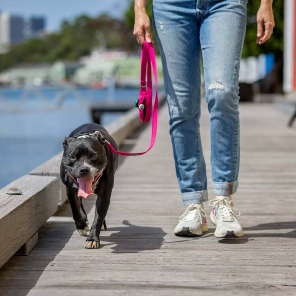 PINK DOG Leash with Built-in Poop Bag Holder