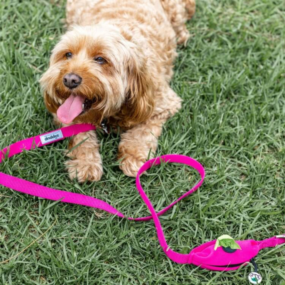 PINK DOG Leash with Built-in Poop Bag Holder