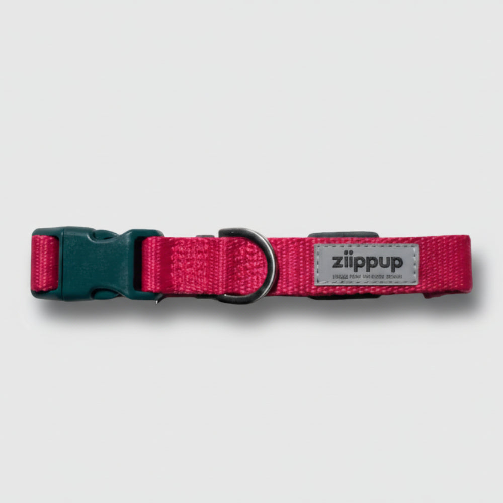 PINK DOG Recycled Collar