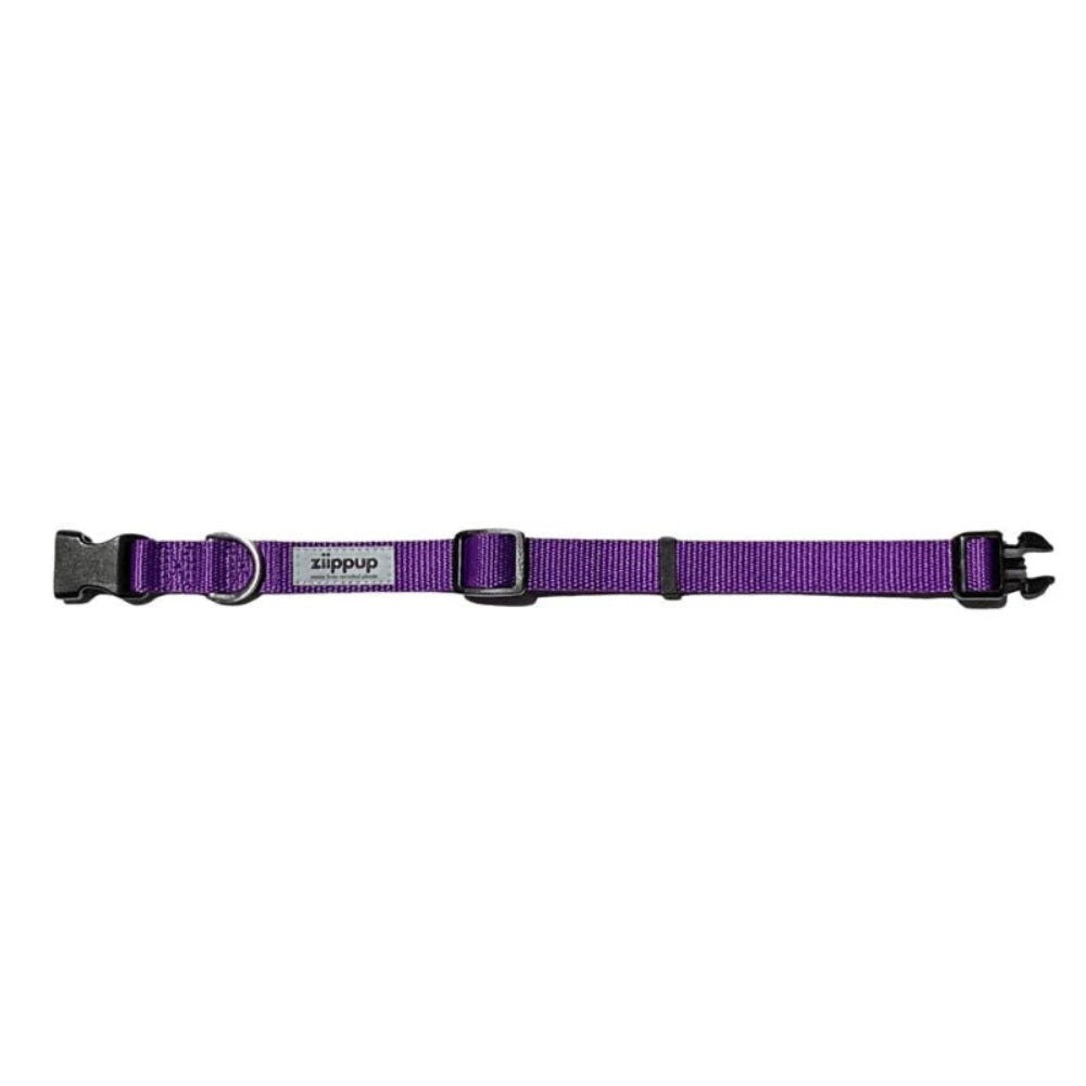 PURPLE DOG Recycled Collar