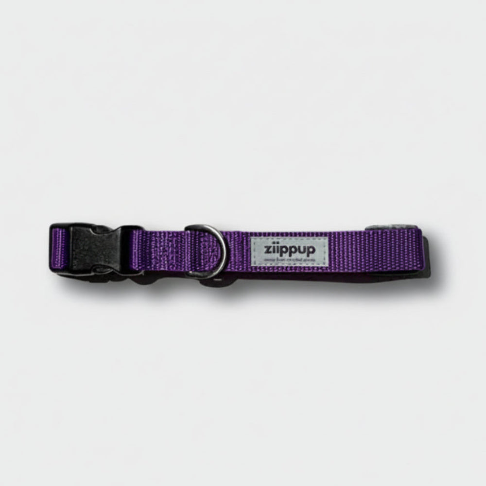 PURPLE DOG Recycled Collar