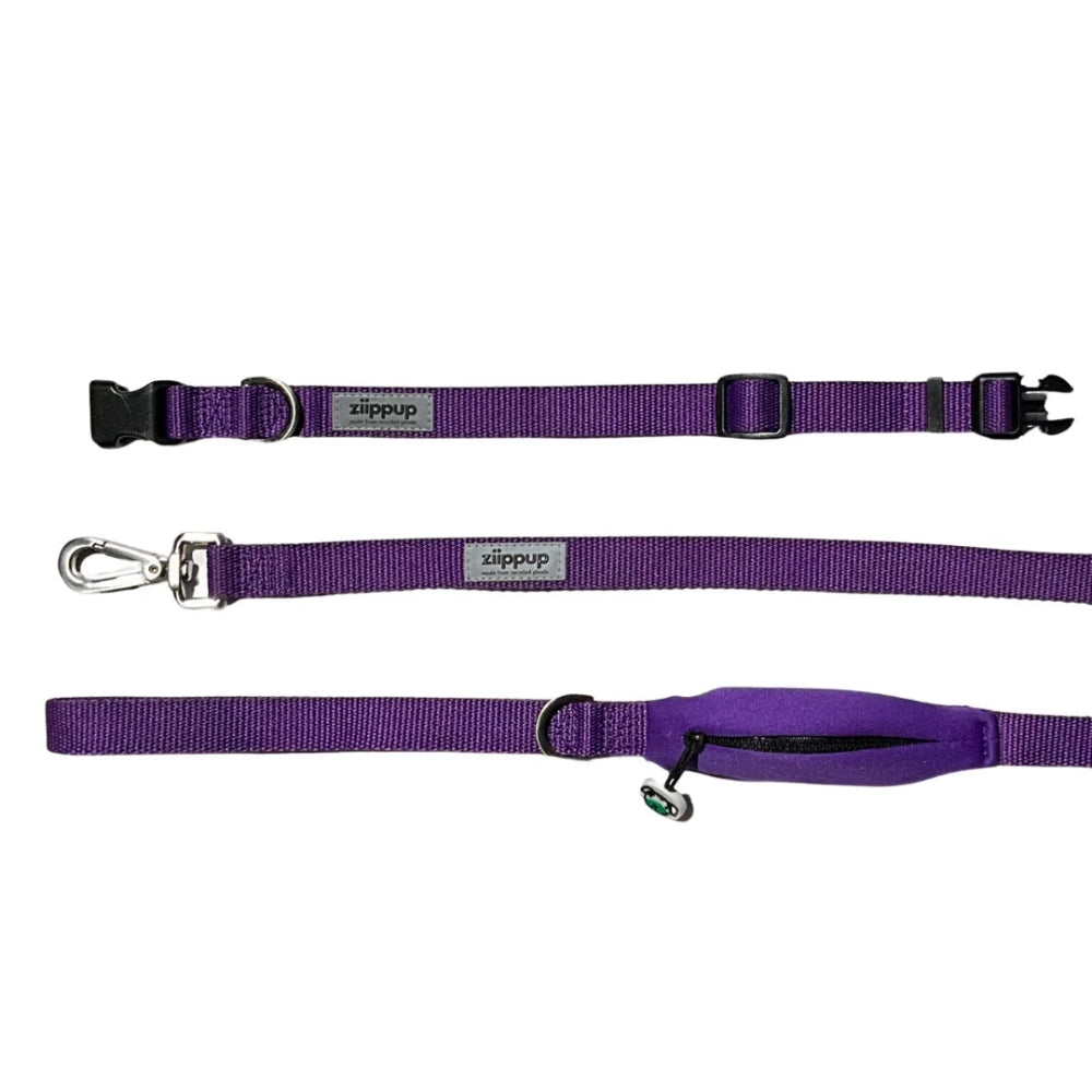 PURPLE DOG Recycled Collar