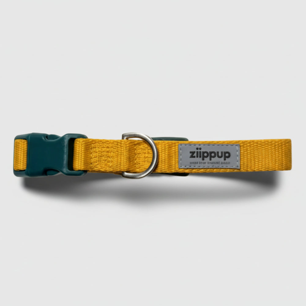 YELLOW DOG Recycled Collar