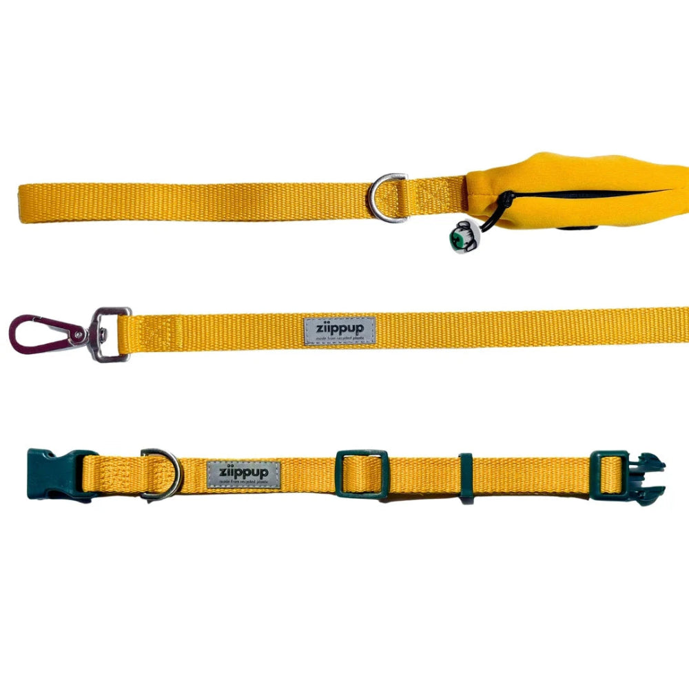 YELLOW DOG Recycled Collar